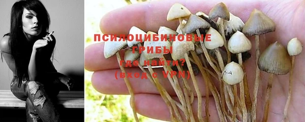 молекула духа Карпинск