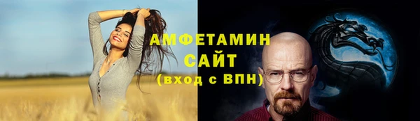 молекула духа Карпинск