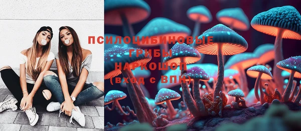 молекула духа Карпинск