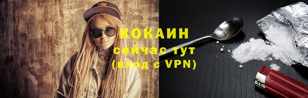 молекула духа Карпинск