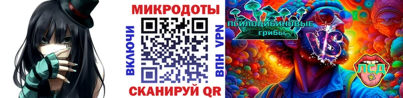 Купить  Нурлат  Псилоцибиновые грибы MAGIC MUSHROOMS 